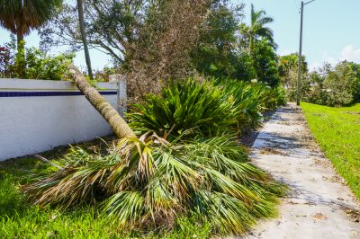 10 Disaster Preparedness Tips